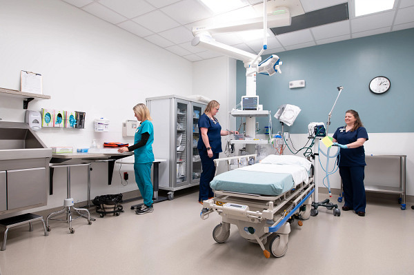 Gundersen Tri-County Hospital nurses and technicians in emergency room.
