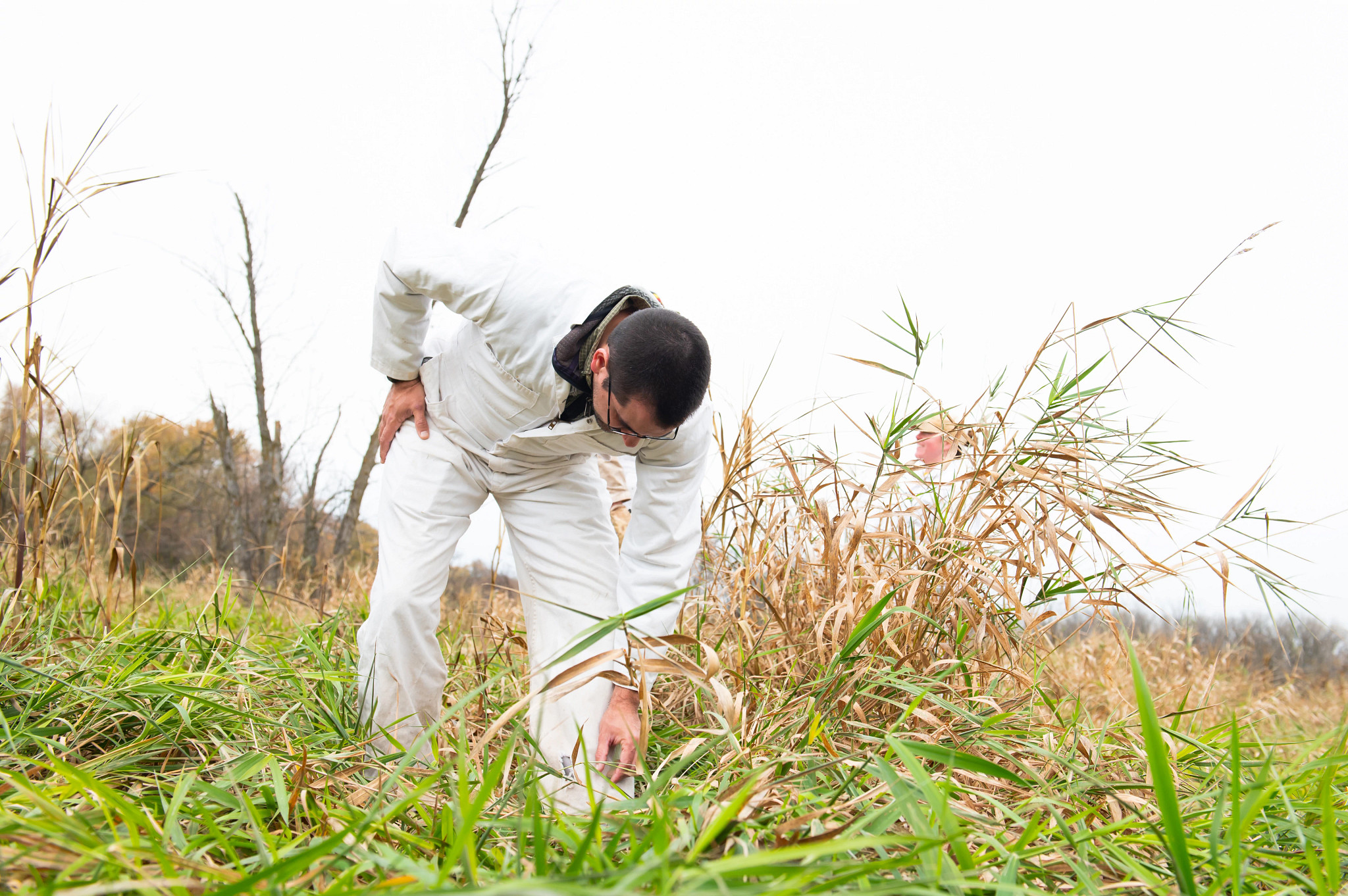 Lyme disease researcher picking tick off leg.