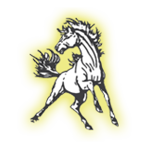 Bark River Harris Broncos