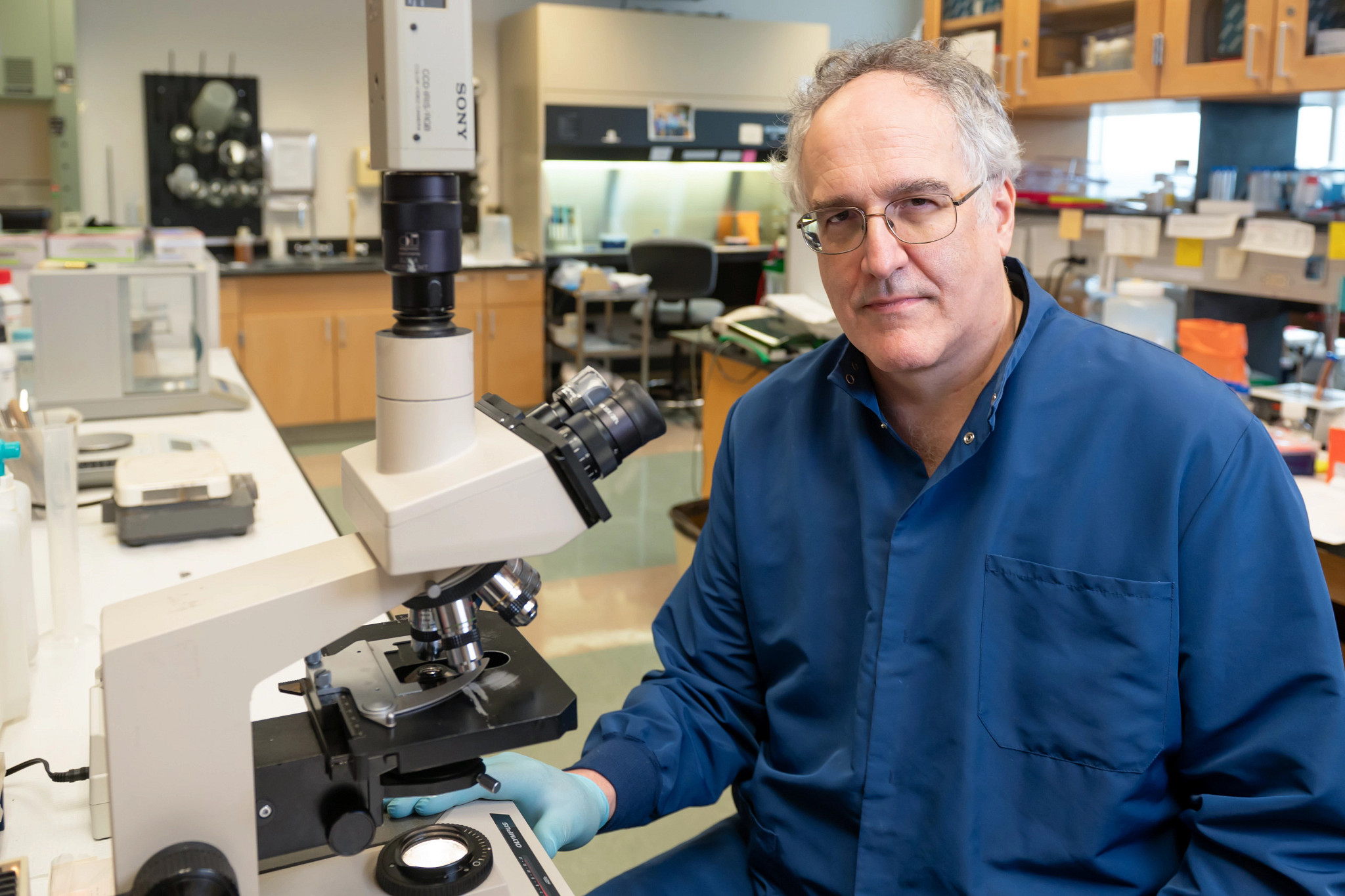 Lyme disease researcher using microscope in research lab.