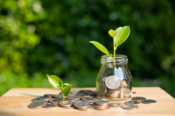 Plant sprouting from jar of quarters.