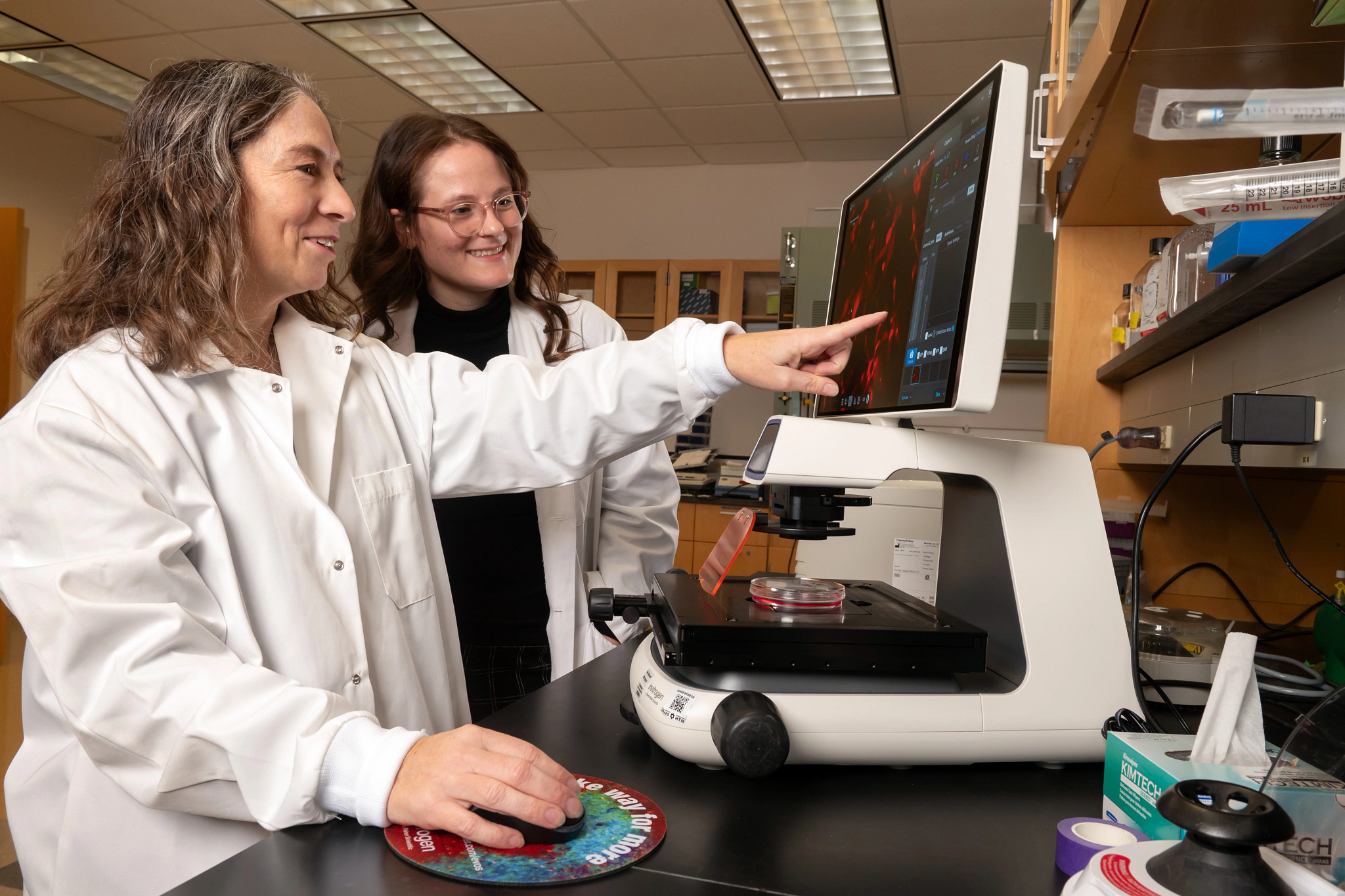 Two ovarian cancer research scientists examining results on computer.