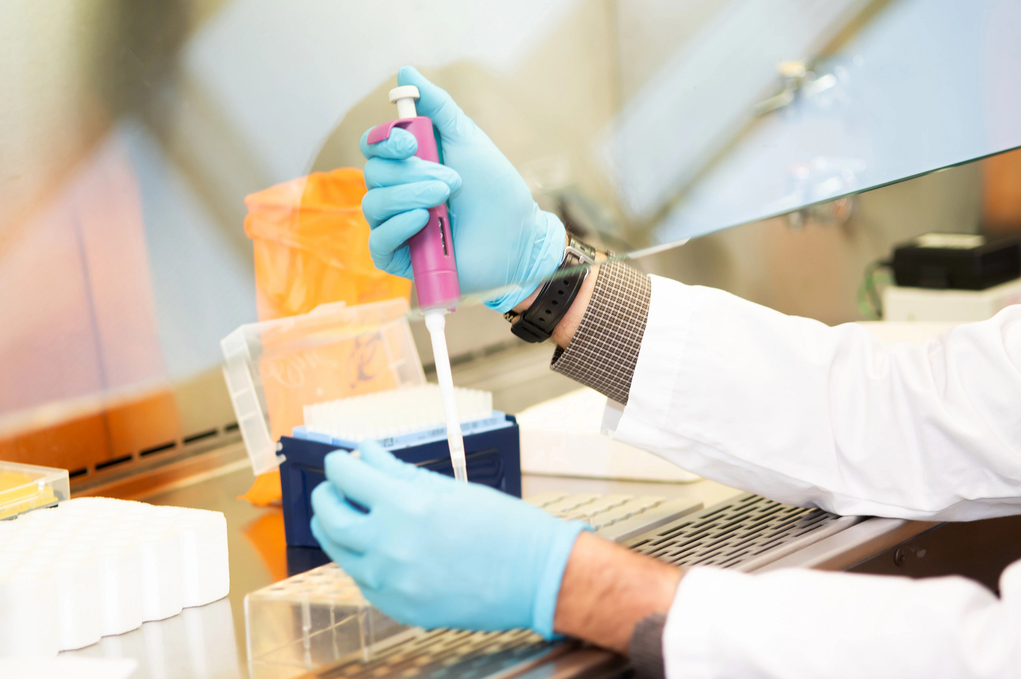 Gloved hands of research scientist in lab.
