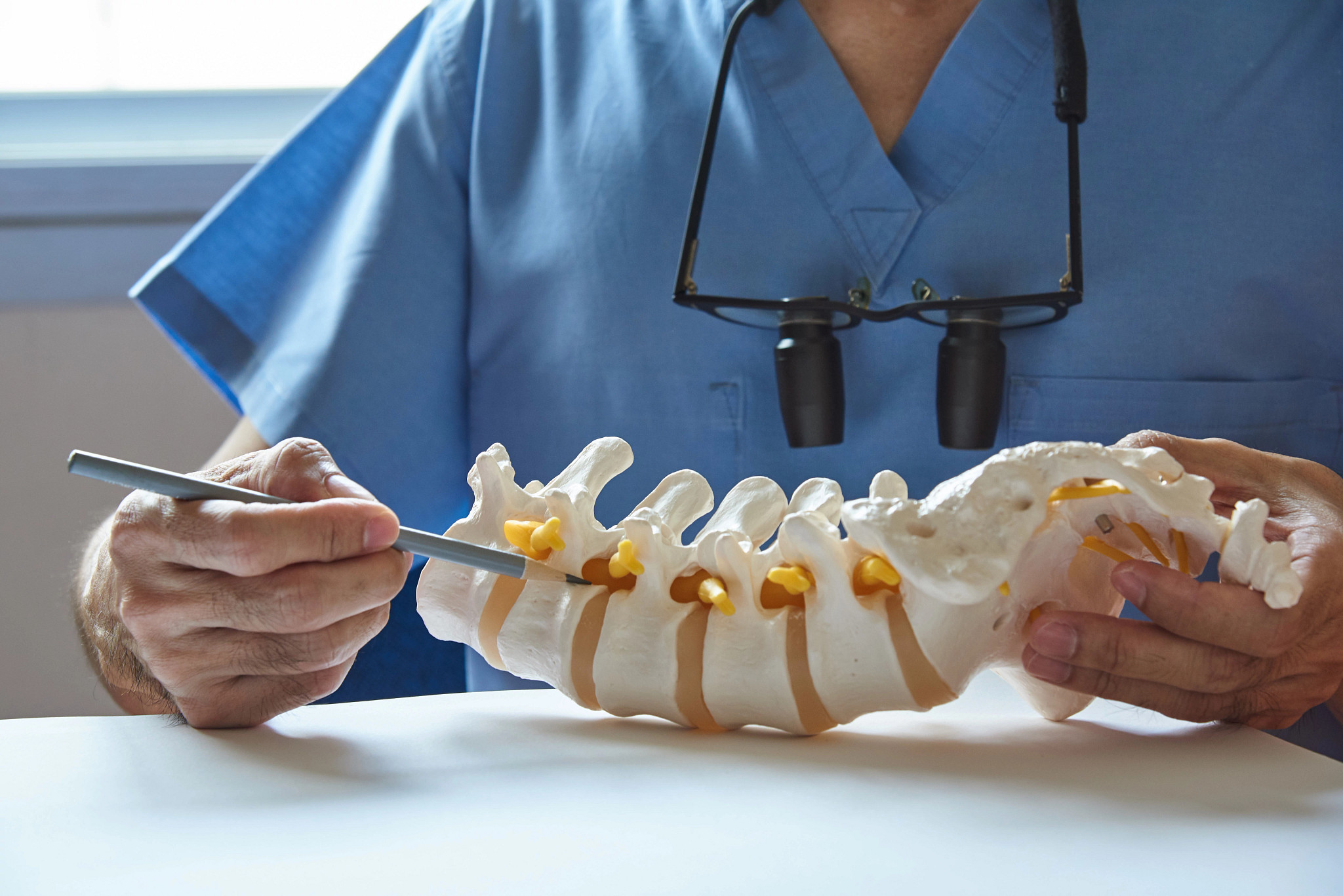 Neurosurgeon using pencil pointing at lumbar vertebra model