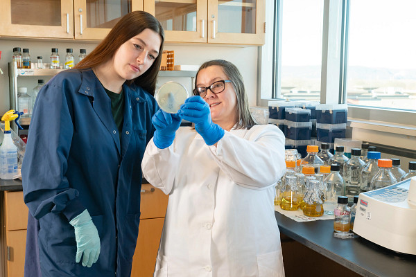 Two virology research scientists in lab.