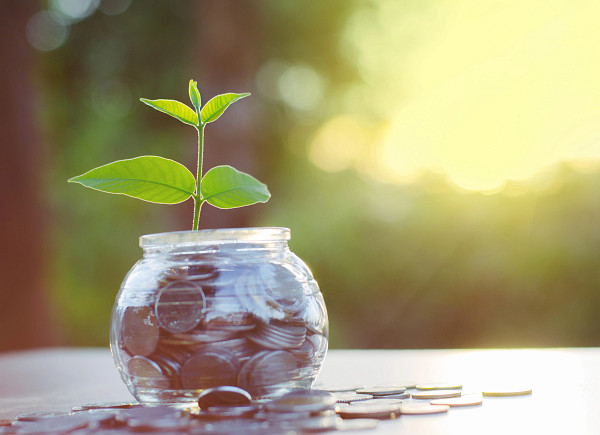 Plant growing from jar of coins.