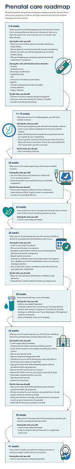 prenatal-care-roadmap-2024.pdf