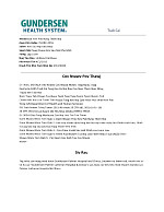 palmer-hmong-fap-2023.pdf