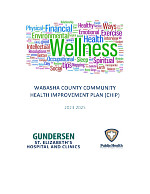 gundersen-st.-elizabeths-chip-2023-2025.pdf