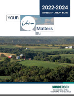 gbahc-implementation-plan-2022-2024.pdf